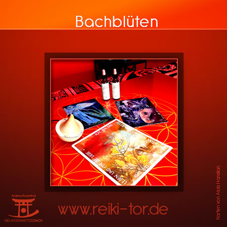 Bachblüten Bachblüten